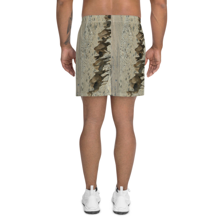 The Rollercoaster Men's Athletic Long Shorts