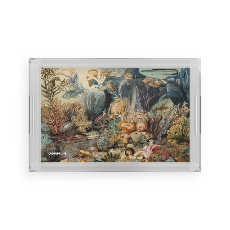 Creatures Acrylic Tray