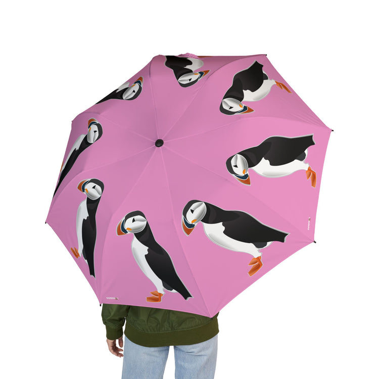 Little Brother Umbrella