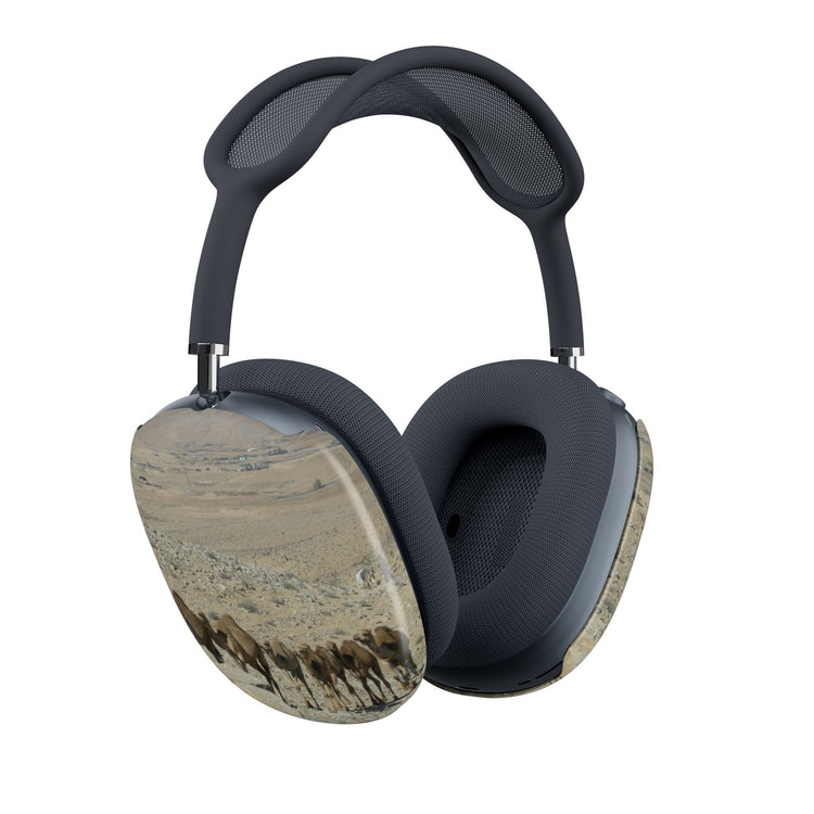 Rollercoaster AirPods Max Shells