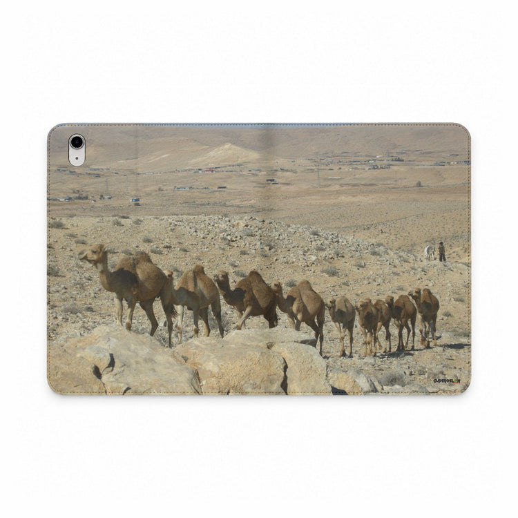 Rollercoaster iPad Folio