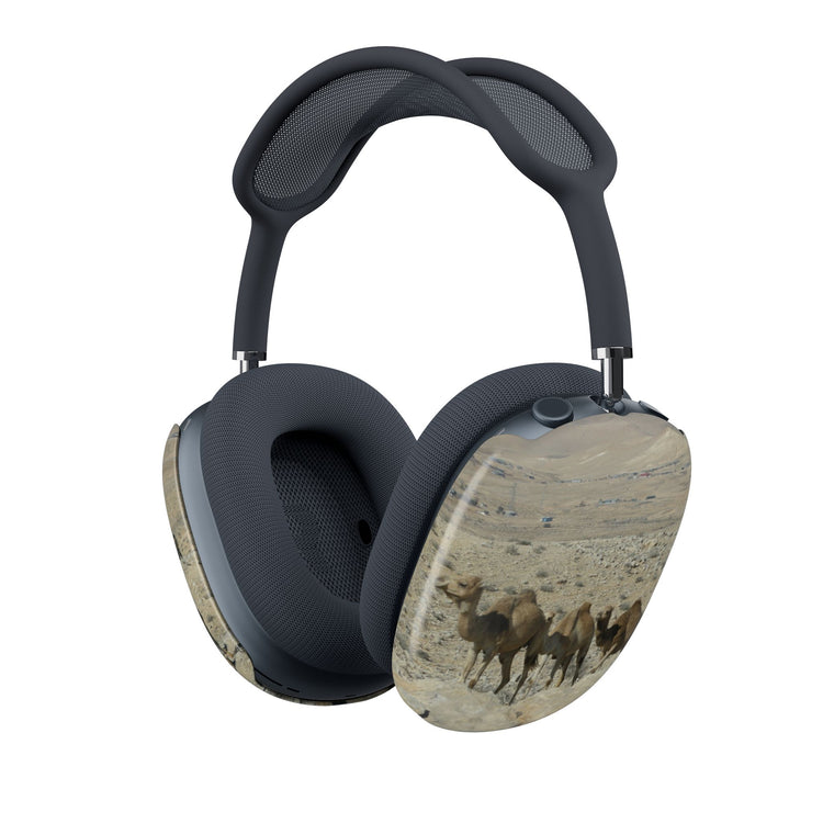 Rollercoaster AirPods Max Shells