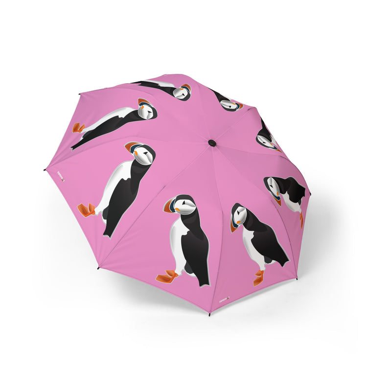 Little Brother Umbrella