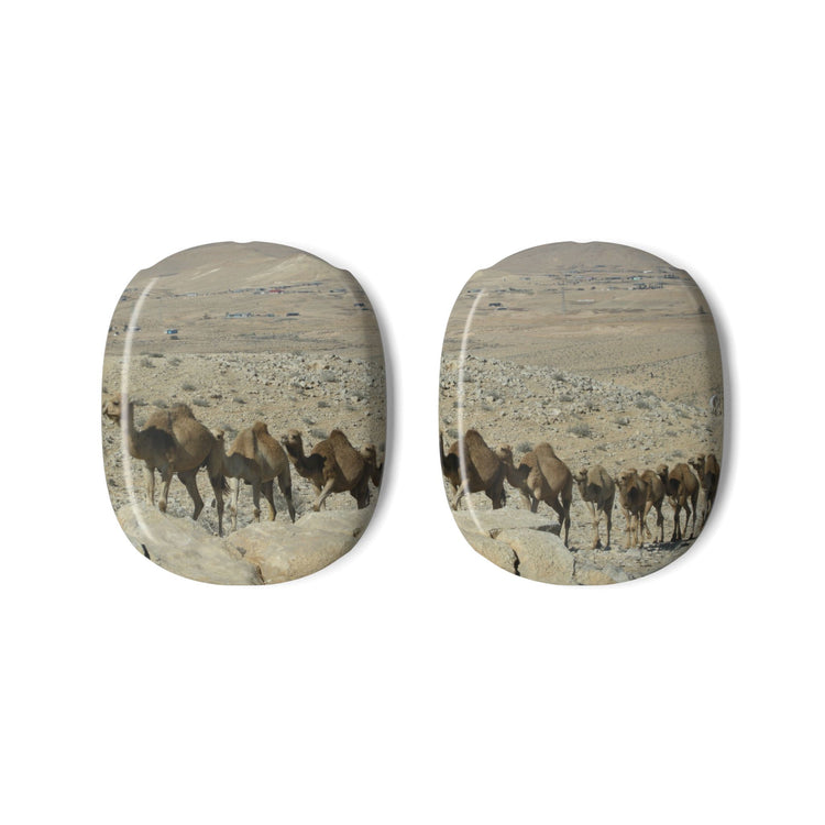 Rollercoaster AirPods Max Shells