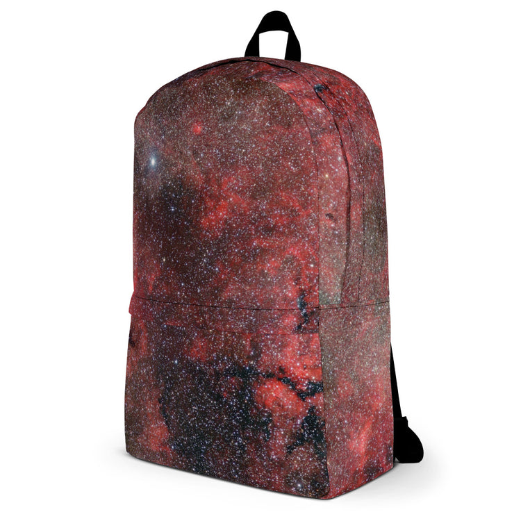 Pink Explosion Backpack