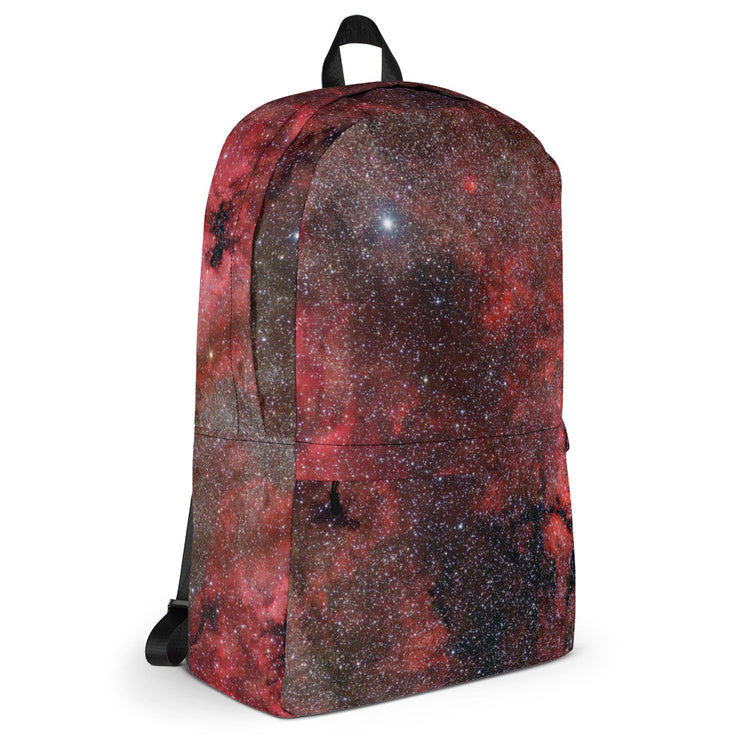 Pink Explosion Backpack