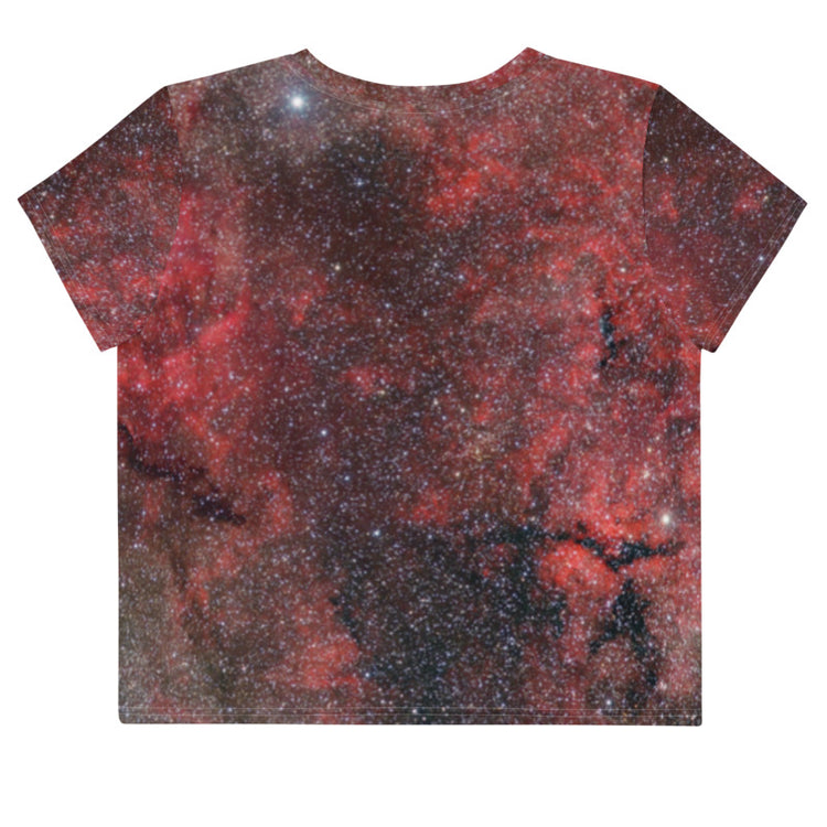 Pink Explosion Crop Tee