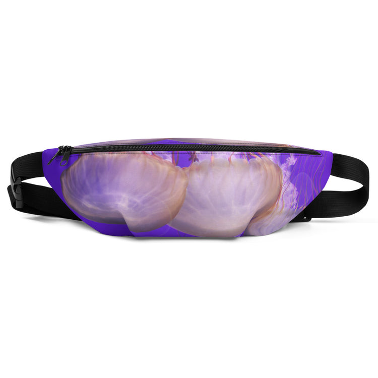 Hiraani Hip Pack