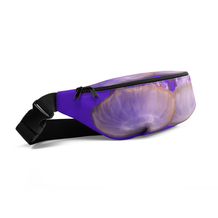 Hiraani Hip Pack