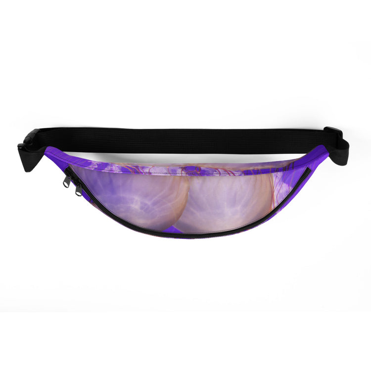 Hiraani Hip Pack