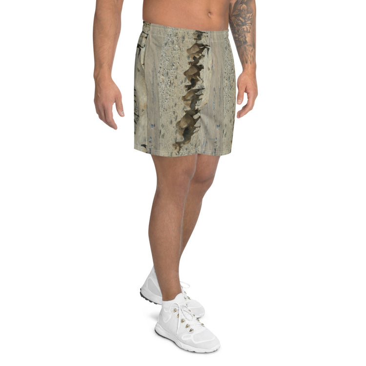 The Rollercoaster Men's Athletic Long Shorts