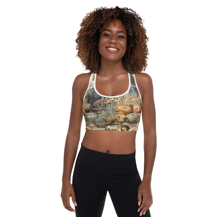 Creatures Padded Sports Bra
