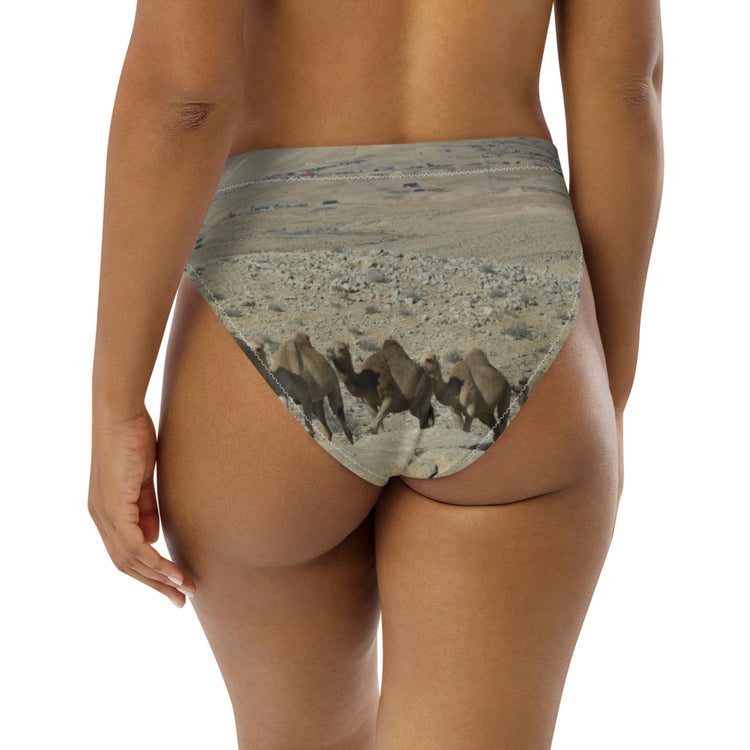 The Rollercoaster Recycled High-Waisted Bikini Bottom