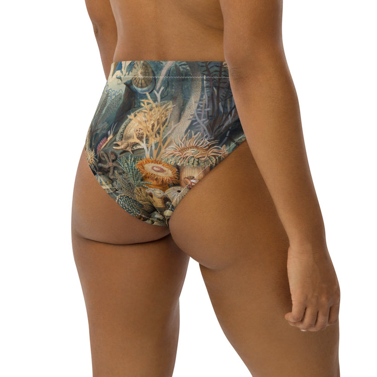 Creatures Recycled High-Waisted Bikini Bottom