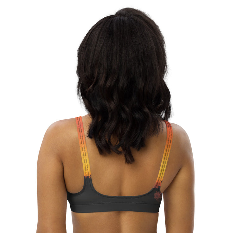 Evolved Recycled Padded Bikini Top