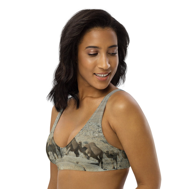 The Rollercoaster Recycled Padded Bikini Top