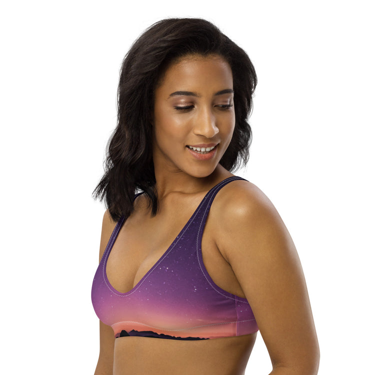 Horizon Recycled Padded Bikini Top