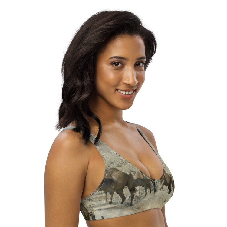 The Rollercoaster Recycled Padded Bikini Top